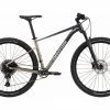 VTT Semi-Rigide Cannondale Trail SL 1 Sram NX/SX Eagle 12V 29'' Gris Meteor Beige 1 VTT Semi-Rigide Cannondale Trail SL 1 Sram NX/SX Eagle 12V 29'' Gris Meteor Beige -Vélo Soldes unnamed file 1088