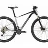 VTT Semi-Rigide Cannondale Trail SL 4 29'' Shimano Deore 11V Grey Bleu / Gris