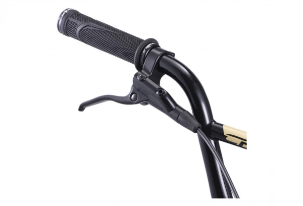 BMX Race Chase Element Pro XL 20'' Sable 2022 Beige 6 BMX Race Chase Element Pro XL 20'' Sable 2022 Beige – Image 4