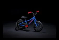 Vélo Enfant 2020 Trek Precaliber 12'' Bleu Royal -Vélo Soldes unnamed file 1936