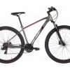 VTT Semi-Rigide BH Spike 1.0 Shimano 7v 29'' Gris / Rouge -Vélo Soldes unnamed file 216