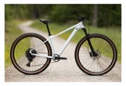 VTT Semi-Rigide Cube Acid Sram NX Eagle 12V 29'' Blanc Frost 2022 -Vélo Soldes unnamed file 2183
