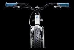 Vélo Enfant 2020 Trek Precaliber 20'' FW Chrystal White Blanc -Vélo Soldes unnamed file 2782