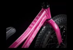Vélo Enfant 2020 Trek Precaliber 12'' Flamingo Pink Bleu -Vélo Soldes unnamed file 2821