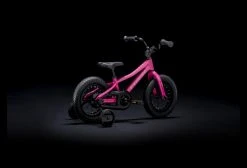 Vélo Enfant 2020 Trek Precaliber 12'' Flamingo Pink Bleu -Vélo Soldes unnamed file 2822