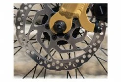 Vélo De Ville Électrique Reine Bike Cadre Bas Connecté Enviolo City CT 504Wh 26'' Or 2022 -Vélo Soldes unnamed file 3068