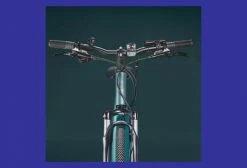 VTC Électrique Riverside 500 E Panaché 8V 418 Wh Vert 2021 -Vélo Soldes unnamed file 340