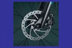 VTC Électrique Riverside 500 E Panaché 8V 418 Wh Vert 2021 -Vélo Soldes unnamed file 342