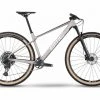 VTT Semi-Rigide BMC Twostroke 01 Three Sram GX Eagle 12V 29'' Gris Arctic Silver Prisma 2023 -Vélo Soldes unnamed file 3554