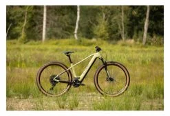 VTT Électrique Semi-Rigide Cube Reaction Hybrid EXC 750 29 Sram NX/SX Eagle 12V 750 Wh 29'' Vert Flash 2022 23 VTT Électrique Semi-Rigide Cube Reaction Hybrid EXC 750 29 Sram NX/SX Eagle 12V 750 Wh 29'' Vert Flash 2022 -Vélo Soldes unnamed file 4187