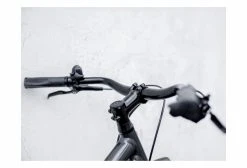 Vélo De Ville Trek District 4 EQ Stagger Shimano Alfine 8V 700 Mm Gris Lithium 2022 -Vélo Soldes unnamed file 4715