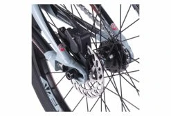 BMX Race Chase Element Pro XXXL 20'' Bleu Slate 2022 -Vélo Soldes unnamed file 5406