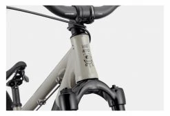 Vélo De Dirt Cannondale Dave Single Speed 26'' Gris Stealth -Vélo Soldes unnamed file 629