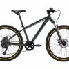 VTT Enfant Rockrider ST 920 24'' 9-12 Ans Gris -Vélo Soldes unnamed file 717