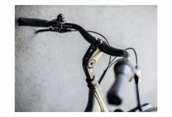 Vélo De Ville Trek District 2 Lowstep Equipped Shimano Nexus 7V Lithium Grey 2021 Gris -Vélo Soldes unnamed file 7438