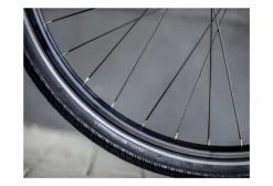 Vélo De Ville Trek District 2 Lowstep Equipped Shimano Nexus 7V Lithium Grey 2021 Gris -Vélo Soldes unnamed file 7439