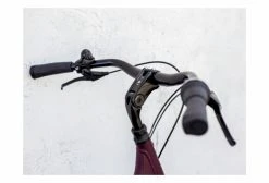 Vélo De Ville Trek District 2 Lowstep Equipped Shimano Nexus 7V Matte Mulberry 2021 Gris -Vélo Soldes unnamed file 7496