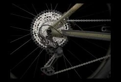 VTT Semi-Rigide Trek Roscoe 9 Shimano SLX XT 12V 29'' Beige / Vert Fade 2023 -Vélo Soldes unnamed file 779