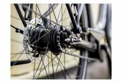 Vélo De Ville Électrique Trek District+ 1 Lowstep 300wh Shimano Nexus 7V Lithium Grey 2021 Bleu -Vélo Soldes unnamed file 7794