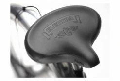 Vélo De Ville Electrique Electra Ghostrider Go! 26' 500Wh Shimano Nexus 5V Noir Shadow 2021 -Vélo Soldes unnamed file 8075