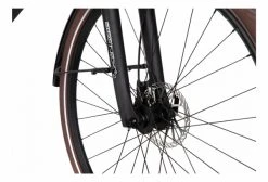 Vélo De Ville Électrique Bicyklet Victoire Shimano Alivio 9V 400 Wh 700 Mm Vert Wood -Vélo Soldes unnamed file 825
