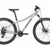 VTT Semi-Rigide Femme Cannondale Trail Women's 8 27.5 Shimano Tourney/Altus 8V 27.5'' Argent Sage Gray -Vélo Soldes unnamed file 8664